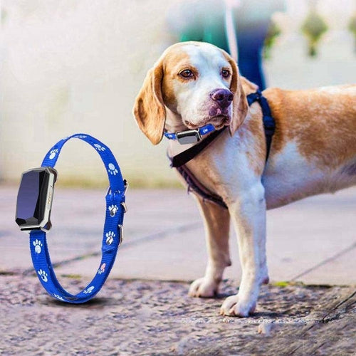 Smartpaws Gps Pet Tracker (kopie)